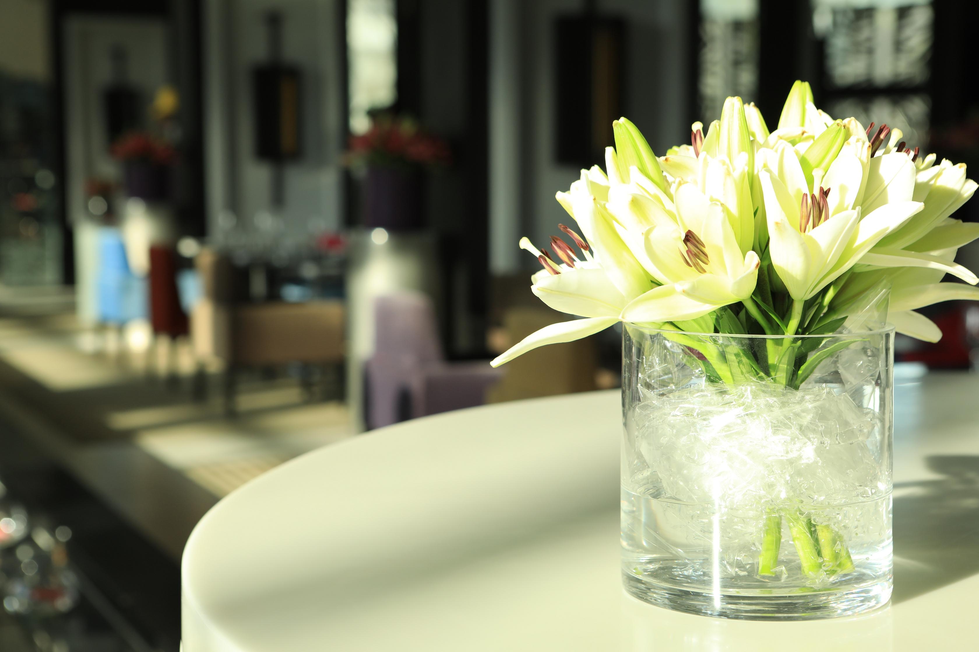 Sofitel Tour Blanche Hotel Casablanca